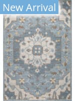 Bashian Valencia R131-Al307 Light Blue Area Rug