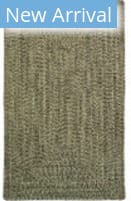 Capel Dockside 299 Palm Leaf Area Rug