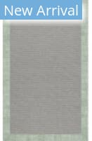 Capel Creative Concepts Plat Sisal 2021 Rave Spearmint Area Rug