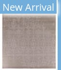 Exquisite Rugs Fine Bamboo Hand Knotted 5045 Light Silver Area Rug