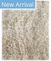 Feizy Braden 8a52f Ivory - Gray Area Rug