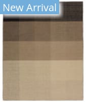 Jaipur Living Pleda Ronin Ple02 Tan Area Rug