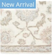 Livabliss Arnold Aod-2301  Area Rug