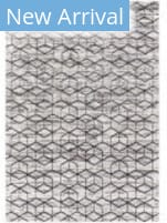 Livabliss Lustro Lsr-2333  Area Rug