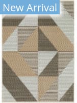 Oriental Weavers Echo Ech04 Beige - Grey Area Rug