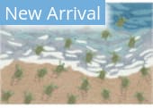 Trans-Ocean Frontporch Turtle Beach 4687/04 Ocean Area Rug