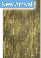 Trans-Ocean Marina Sienna 8238/06 Green Area Rug