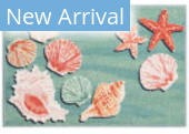 Trans-Ocean Siena Shellebration 5134/04 Aqua Area Rug