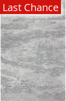 Rugstudio Sample Sale 159046 Grey Area Rug