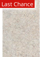 Rugstudio Sample Sale 254116R Multi Area Rug
