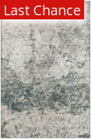 Rugstudio Sample Sale 253897R Graphite Area Rug