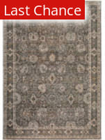 Rugstudio Sample Sale 262058R Pewter Area Rug