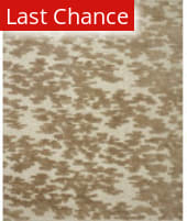 Rugstudio Sample Sale 259607R Ivory - Taupe Area Rug