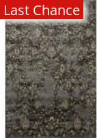 Rugstudio Sample Sale 141141 Pewter - Beige Area Rug