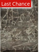 Rugstudio Sample Sale 53997R Brown Area Rug