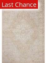 Rugstudio Sample Sale 252517 Beige - Silver Area Rug