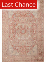 Rugstudio Sample Sale 256030 Spice / Multi Area Rug