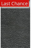 Rugstudio Sample Sale 162055R Lagoon Area Rug