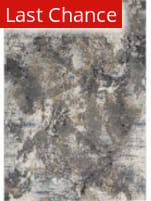 Rugstudio Sample Sale 217354 Grey - Multi Area Rug