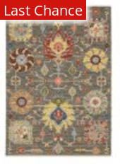 Rugstudio Sample Sale 232553 Grey - Multi Area Rug