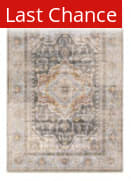 Rugstudio Sample Sale 215569R Grey - Blue Area Rug