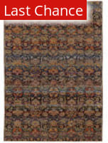 Rugstudio Sample Sale 154302R Multi Area Rug