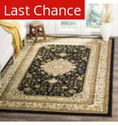 Rugstudio Sample Sale 46800R Black - Ivory Area Rug