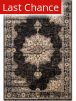 Rugstudio Sample Sale 194864R  Area Rug