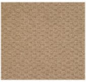 Capel Shoal Raffia 1998  Area Rug