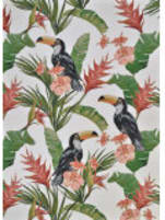 Couristan Dolce Toucans Ivory Area Rug