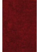 Dalyn Illusions IL69 Red Area Rug