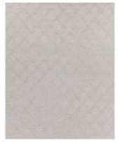 Exquisite Rugs Brentwood Hand Woven 2226 Gray Area Rug