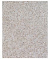 Exquisite Rugs Natural Hide Hair On Hide 4060 Light Beige Area Rug