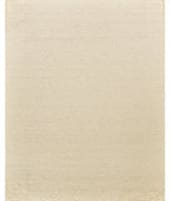 Exquisite Rugs Tocayo 4574 Ivory Area Rug