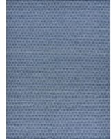 Exquisite Rugs Florence Flatweave 4962 Navy Area Rug