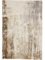 Feizy Parker 3709F Gray - Beige Area Rug