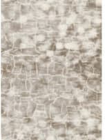 Karastan Titanium Esprit Gray Area Rug