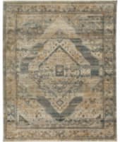 Karastan Echo Gamin Grey Area Rug