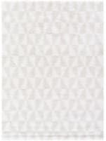 Livabliss Sacramento Shag Scs-2303  Area Rug