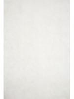 Loloi II Mila Shag Mil-01 White Area Rug