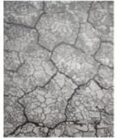 Nourison Divine Div01 Charcoal Area Rug