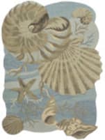 Nourison Home Waterside Wrs01 Blue Area Rug