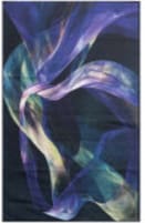 Nourison Home Nourison Washables Nwb16 Blue Multicolor Area Rug