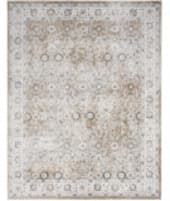 Nourison Home Astra Machine Washable Asw16 Silver Taupe Area Rug