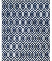 Safavieh Chatham CHT731C Dark Blue / Ivory Area Rug