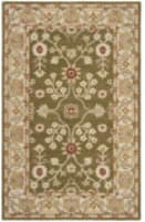 Safavieh Anatolia An562d Moss / Ivory Area Rug