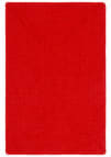Safavieh Braided BRD317P Rust - Red Area Rug