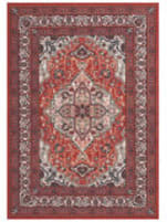 Safavieh Journey JNY105P Red - Ivory Area Rug