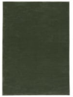 Safavieh Revive REV114Y Green Area Rug
