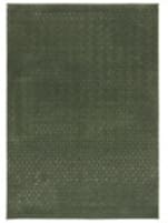 Safavieh Revive REV118Y Green Area Rug